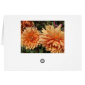 Chrysanthemums Cards (Back Horizontal)