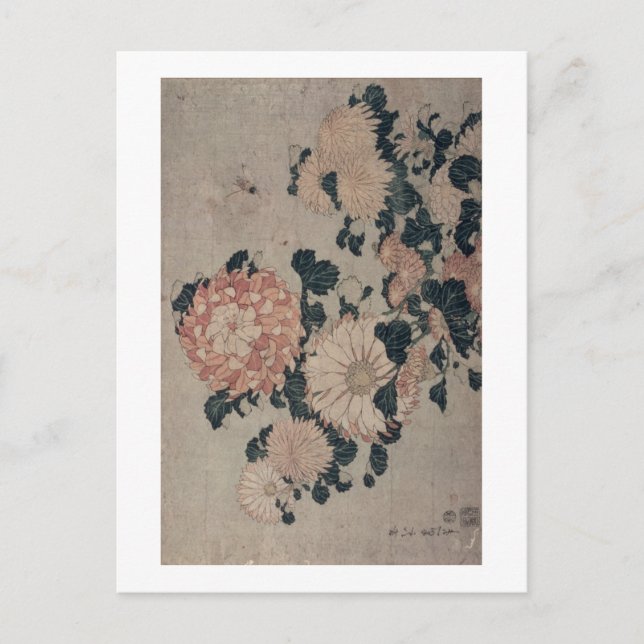 Chrysanthemums (color woodblock) postcard (Front)