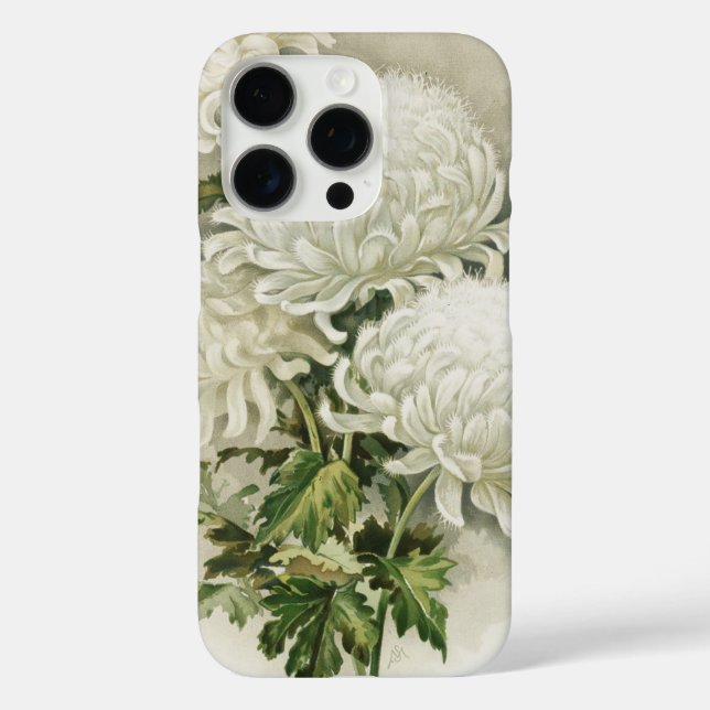 Chrysanthemums – Elegant Vintage Botanical Case-Mate iPhone Case (Back)