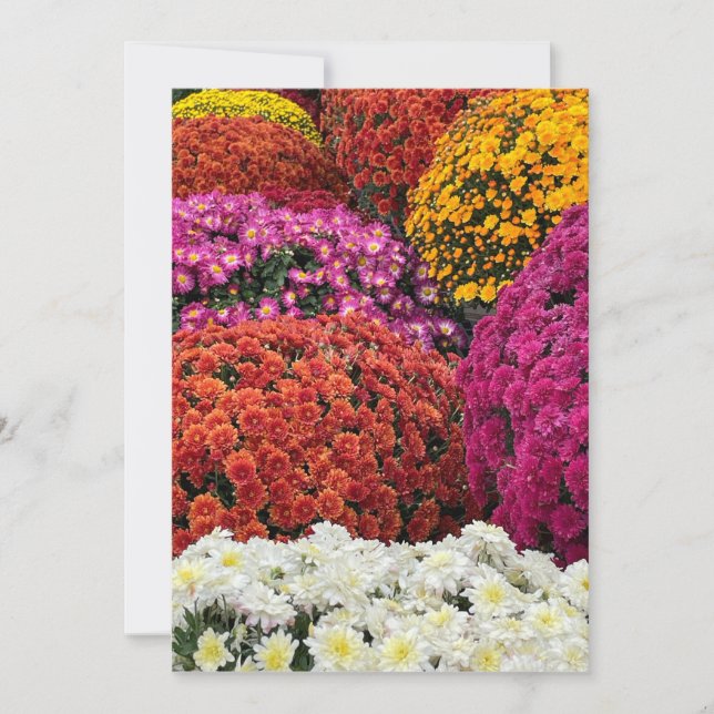 Chrysanthemums Invitation (Front)