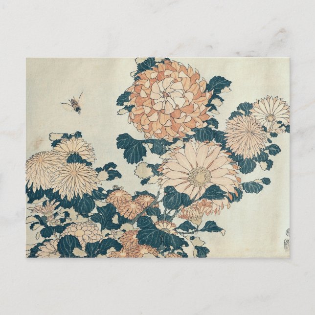 Chrysanthemums Postcard (Front)