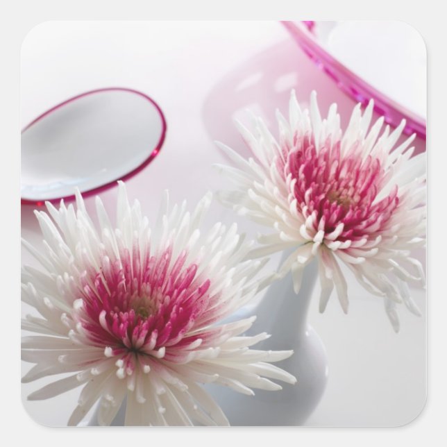 Chrysanthemums Square Sticker (Front)