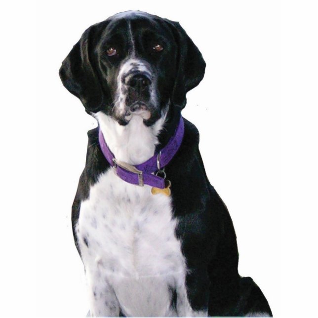 Chrysie Cutout (Front)