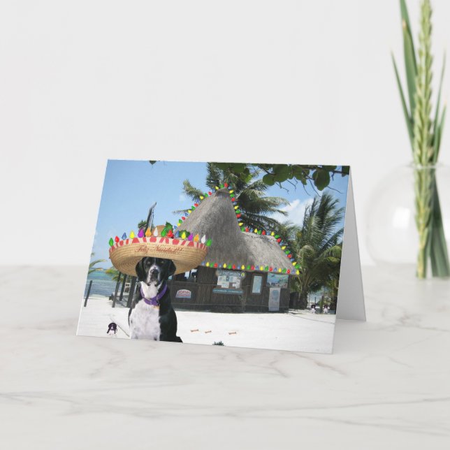 Chrysie's Mexican Christmas Holiday Card (Front)