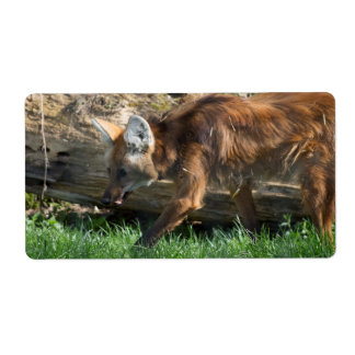 Chrysocyon brachyurus label