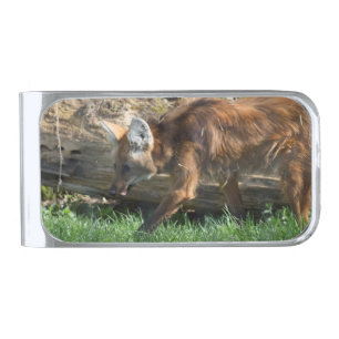 Chrysocyon brachyurus silver finish money clip