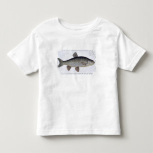 Chub (Cyprinus Jeses) plate VI from 'Ichthyologie, Toddler T-shirt