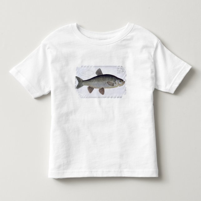 Chub (Cyprinus Jeses) plate VI from 'Ichthyologie, Toddler T-shirt (Front)