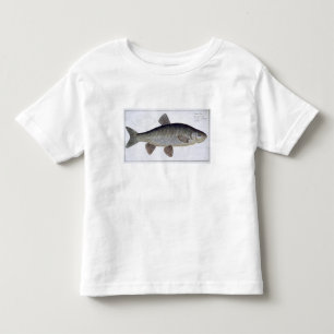 Chub (Cyprinus Jeses) plate VI from 'Ichthyologie, Toddler T-shirt