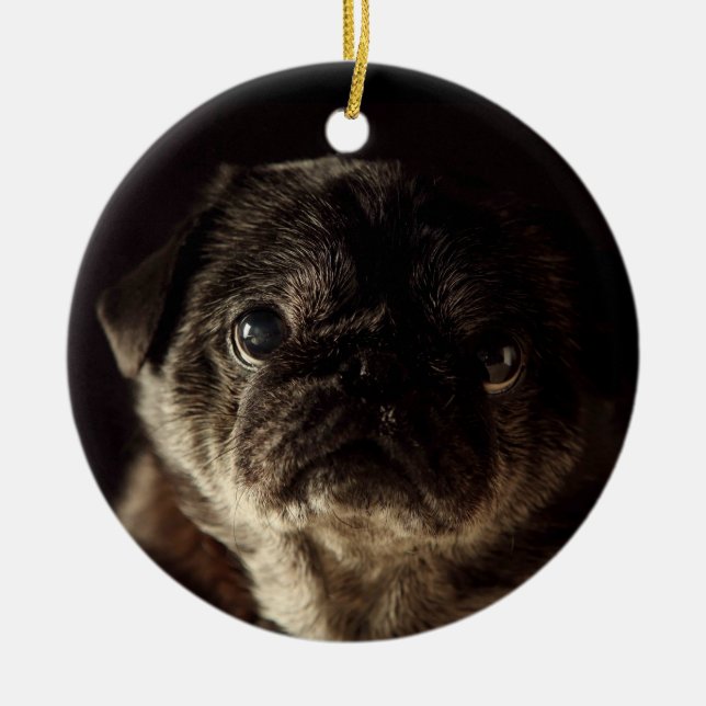 Chubbs The Wampug Black on Black Ornament (Front)