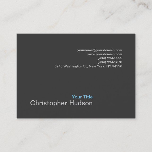 Chubby Blue Gray Photography Business Card (Front)
