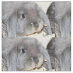 Chubby Cheeks Fabric