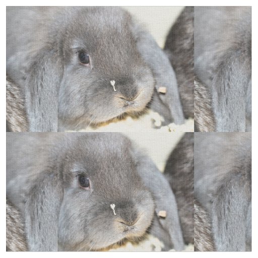 Chubby Cheeks Fabric