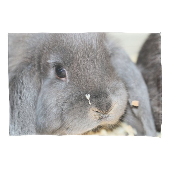 Chubby cheeks pillow case (Front)