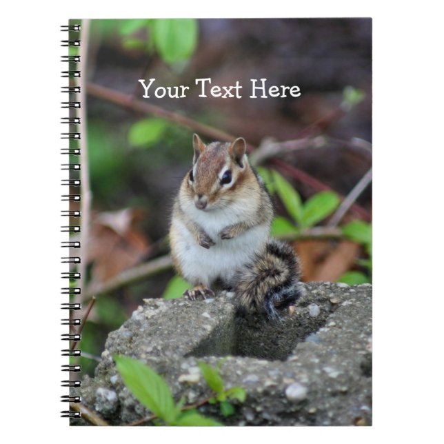 Chubby Chipmunk Nature Art Notebook (Front)