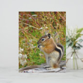 Chubby cute chipmunk on on wood stump (Standing Front)