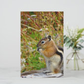 Chubby cute chipmunk on  on wood stump (Standing Front)