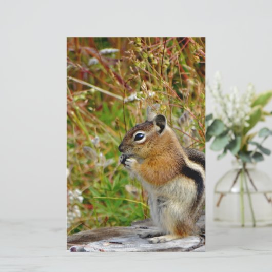 Chubby cute chipmunk on on wood stump (Standing Front)