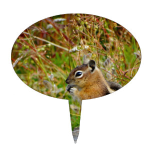 Chubby cute chipmunk on on wood stump cake topper