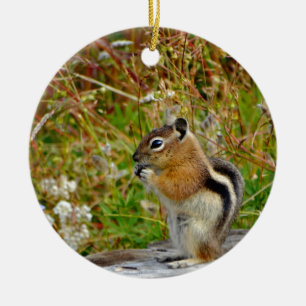Chubby cute chipmunk on on wood stump ceramic ornament