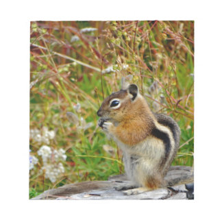 Chubby cute chipmunk on on wood stump notepad