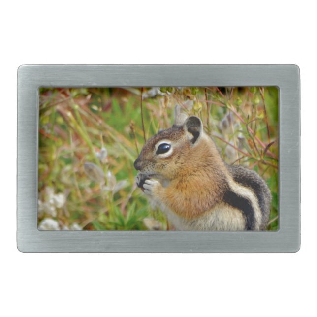 Chubby cute chipmunk on  on wood stump rectangular belt buckle (Front)