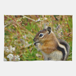 Chubby cute chipmunk on  on wood stump towel