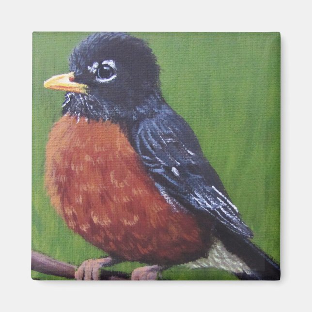 Chubby Robin - Magnet (Front)