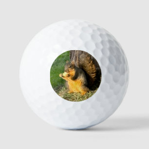 Chubby Squirrel, Golf Balls