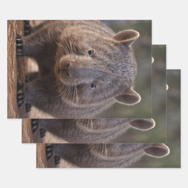 Chubby The Australian Wombat,  Wrapping Paper Sheets (Set)