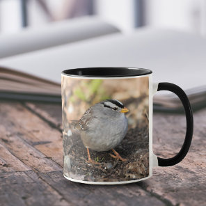 Chubby White-Crowned Sparrow in the Winter Sun Mug