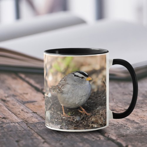 Chubby White_Crowned Sparrow in the Winter Sun Mug