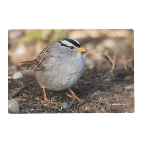 Chubby White_Crowned Sparrow in the Winter Sun Placemat