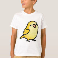 Chubby Yellow Quaker Parrot