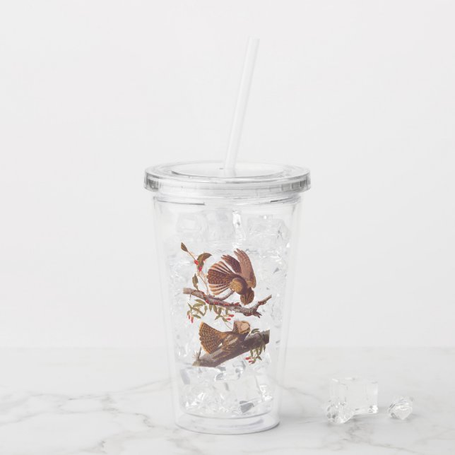 Chuck Will's Widow Nightjar with Coral Snake Acrylic Tumbler (Back Ice)