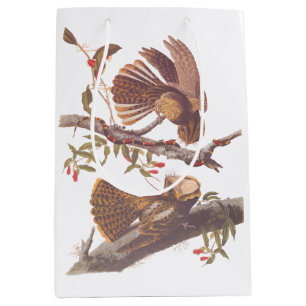 Chuck Will's Widow Nightjar with Coral Snake Medium Gift Bag