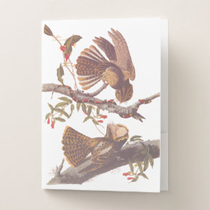 Chuck Will's Widow Nightjar with Coral Snake Pocket Folder