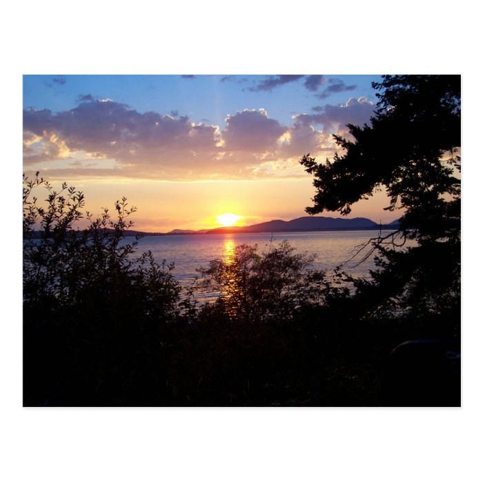 Chuckanut Drive Postcard