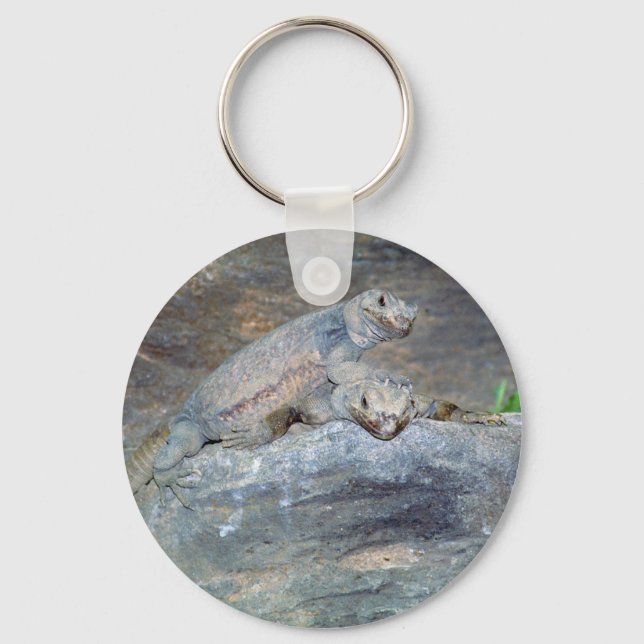 Chuckwalla Head Stand Keychain (Front)