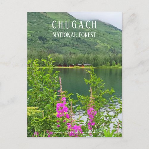 Chugach Mountains Summit Lake Fireweed Postcard