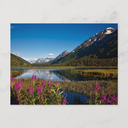 Chugach National Park in Alaska Mountain Lake  Postcard