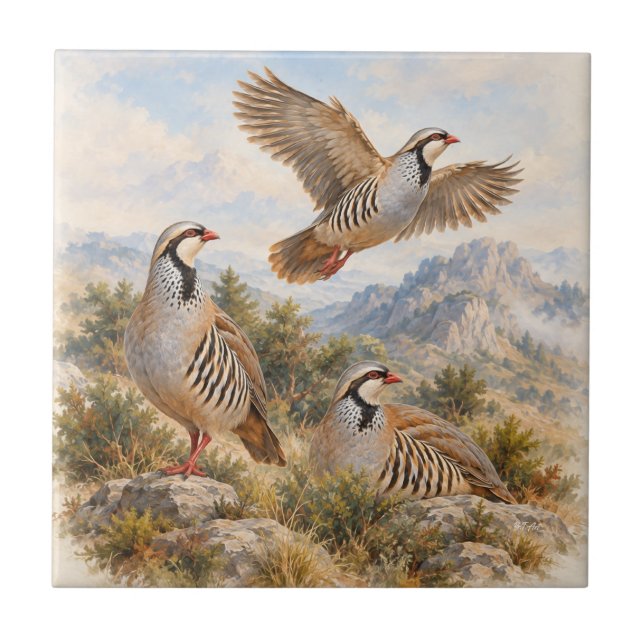 Chukar Partridge  Art Ceramic Tile (Front)