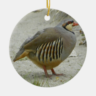 Chukar Partridge Ceramic Ornament