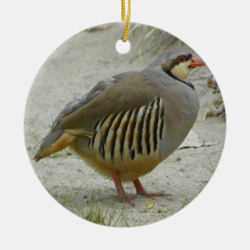 Chukar Partridge Ceramic Ornament