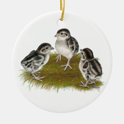 Chukar Partridge Chicks Ceramic Ornament