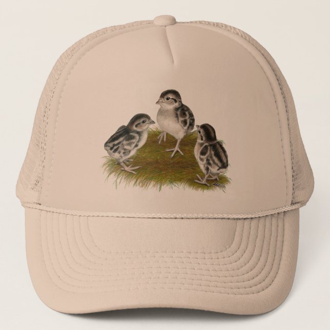 Chukar Partridge Chicks Trucker Hat (Front)