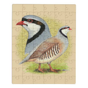 Chukar Partridge Combo Jigsaw Puzzle
