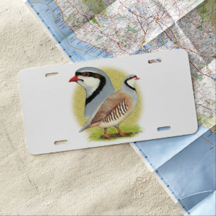 Chukar Partridge Combo License Plate