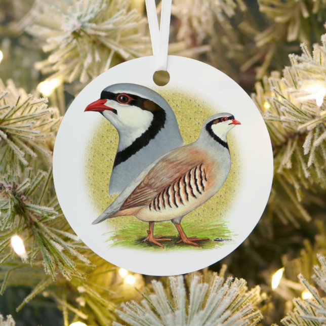 Chukar Partridge Combo Metal Ornament (Insitu)