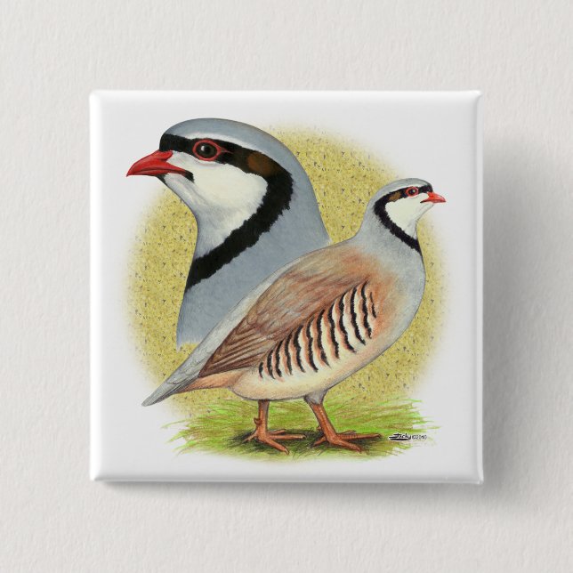 Chukar Partridge Combo Pinback Button (Front)
